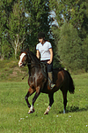 Frau reitet Deutsches Reitpony / woman rides pony