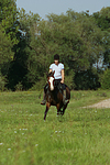 Frau reitet Deutsches Reitpony / woman rides pony