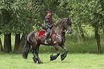 Frau reitet Friese / woman rides friesian horse