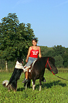 Shetland Pony und Border Collie / Shetland Pony and Border Collie