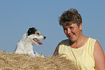 Parson Russell Terrier