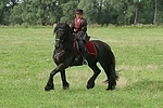 Frau reitet Friese / woman rides friesian horse