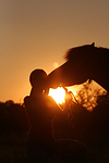 Shetland Pony