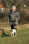 Frau mit Parson Russell Terrier / woman with PRT