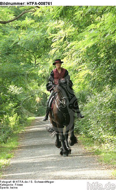 Frau reitet Friese / woman rides friesian horse / HTFA-008761