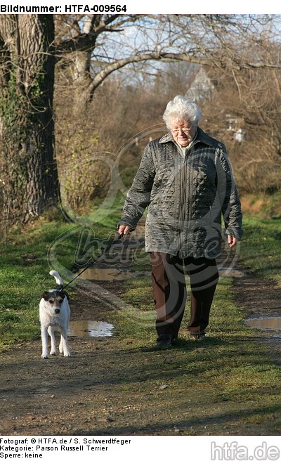 Frau mit Parson Russell Terrier / woman with PRT / HTFA-009564