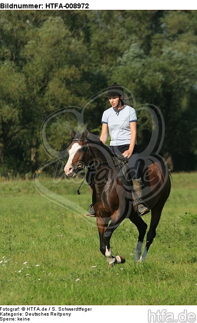 Frau reitet Deutsches Reitpony / woman rides pony / HTFA-008972